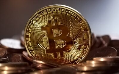 Why Bitcoin, Why Now?