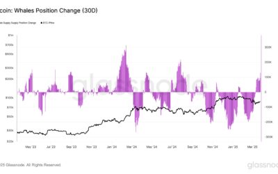 Smart Money Moves – Digital Vision 15