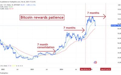 Higher Price, Lower Volatility – CHAINLETTER 62