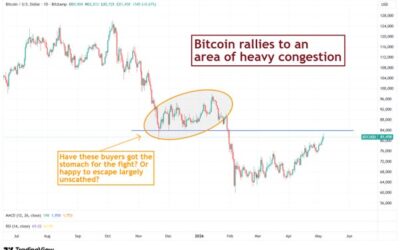 Will The Crypto Rally Peter Out? – CHAINLETTER 78